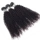 【12A 2PCS】New arrived Merula Virgin Peruvian afro kinky curly Human Hair Beautiful Weave Hair 2 Bundles lot