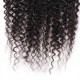 Bouncy kinky curly Closure 4x4 5x5 6x6 7x7 Transparent HD lace preplucked small knots natural hairline Virgin human hair 1 pack